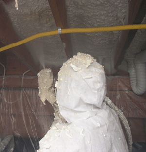 Raleigh NC crawl space insulation